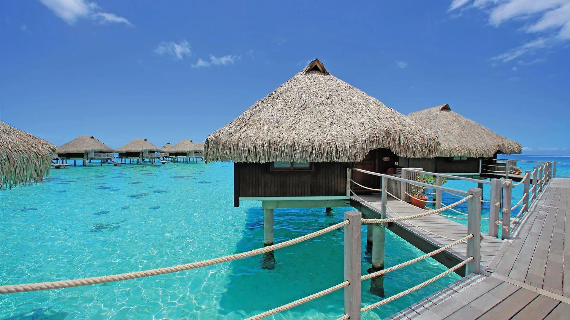 *****  Hilton Moorea Lagoon Resort & Spa Папетойя Французская Полинезия